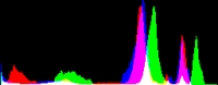 Histogram