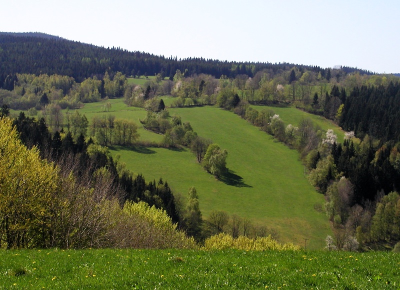 utěšená krajina